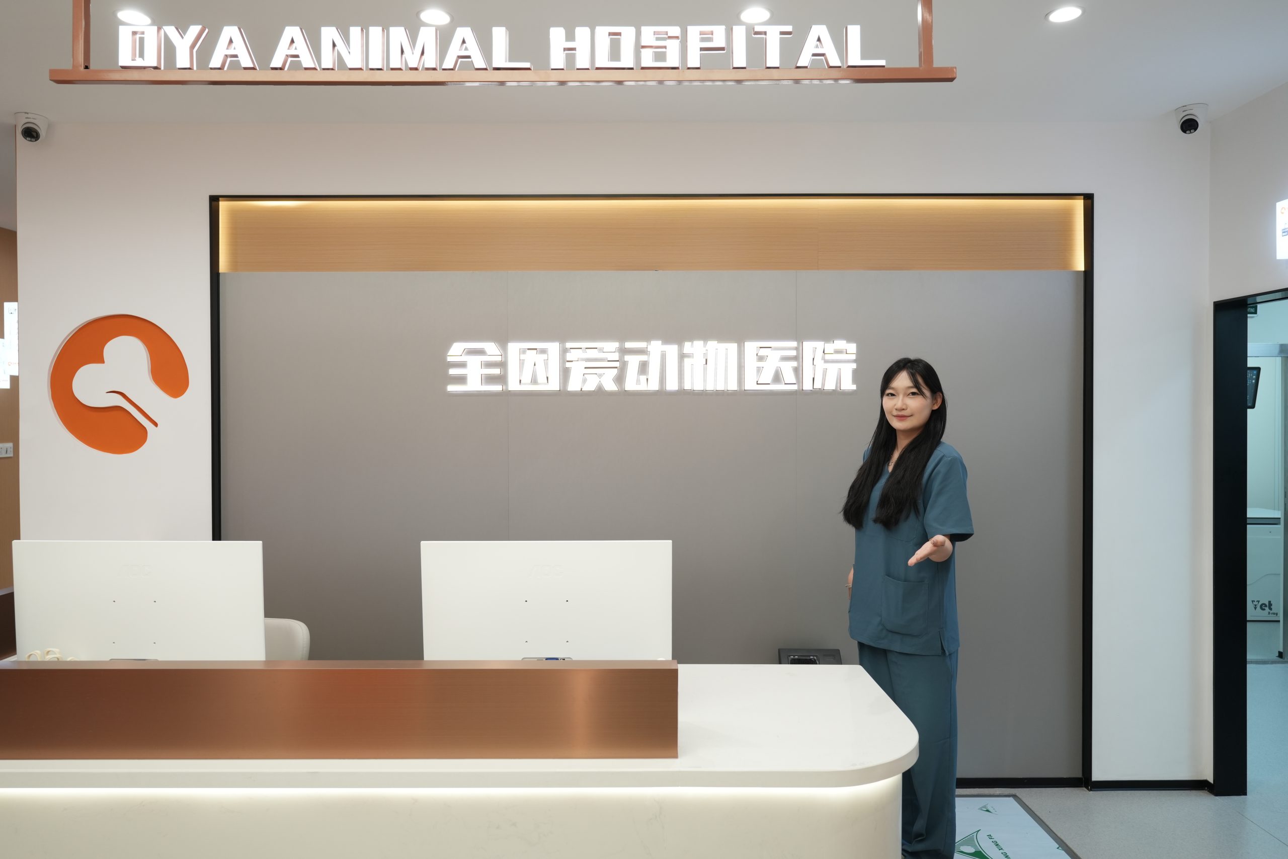 24小时急诊与专科外科中心守护深夜“毛孩子”