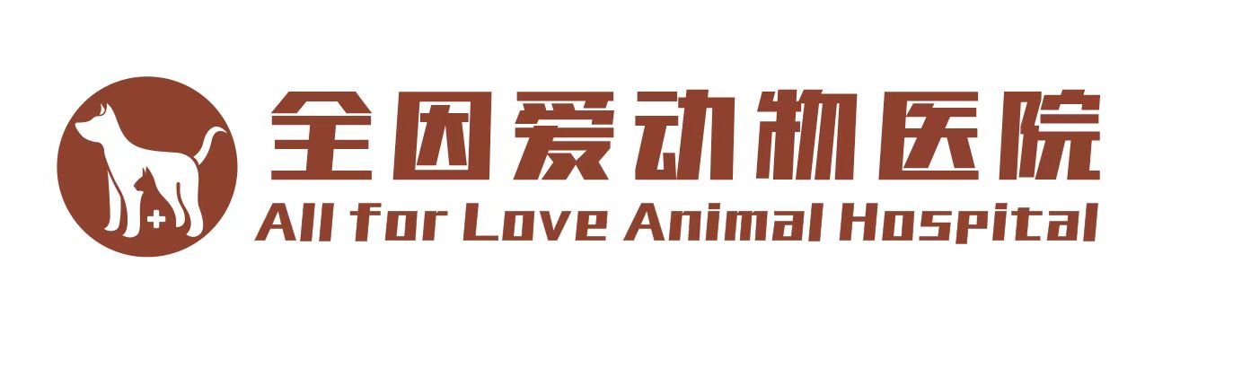 周江波